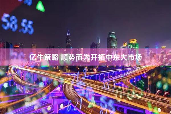 亿牛策略 顺势而为开拓中东大市场