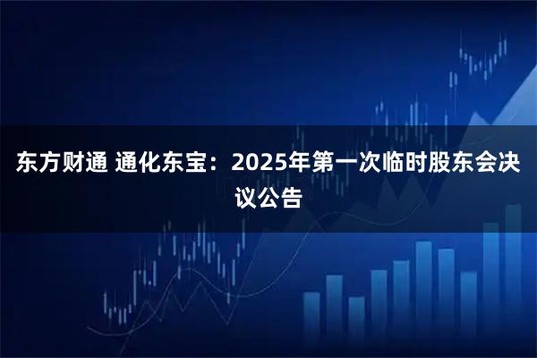 东方财通 通化东宝：2025年第一次临时股东会决议公告