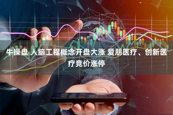 牛操盘 人脑工程概念开盘大涨 爱朋医疗、创新医疗竞价涨停