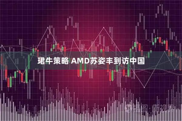 珺牛策略 AMD苏姿丰到访中国