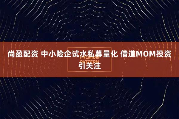 尚盈配资 中小险企试水私募量化 借道MOM投资引关注